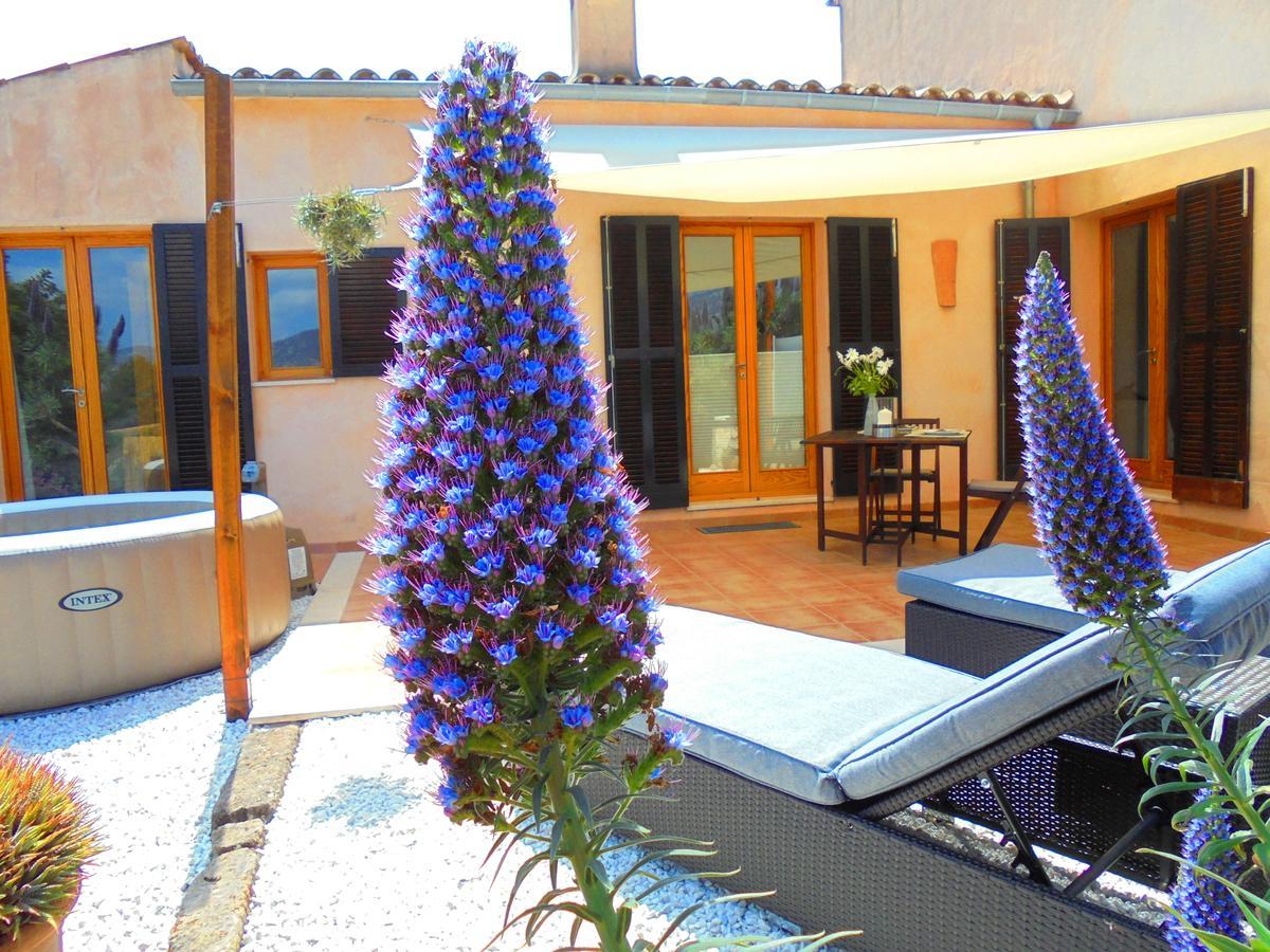 Apartamento Vista Selva (Mallorca)