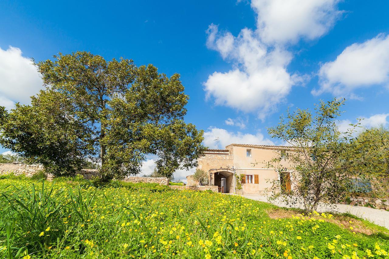 Finca Son Prohens Villa Fenalitx (Fenalich)