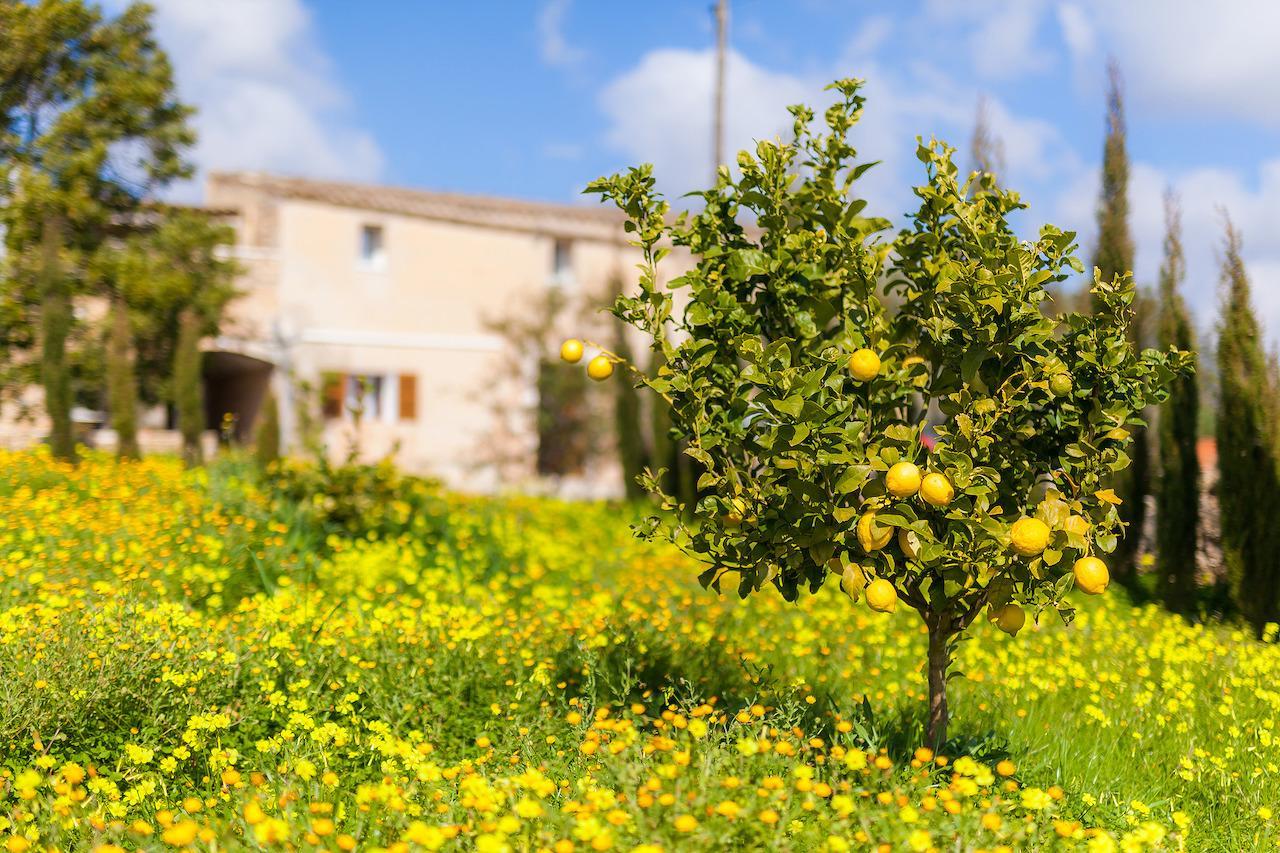 Villa Finca Son Prohens