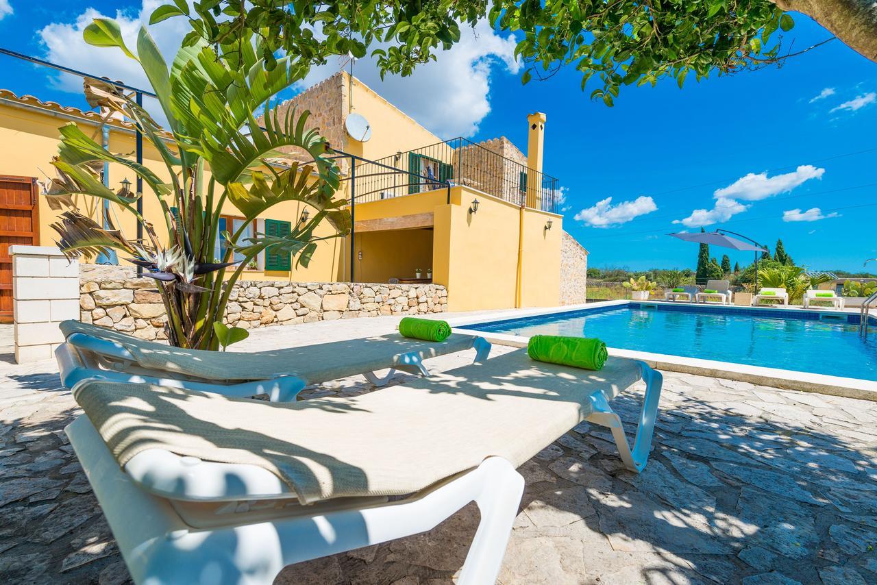 Liatris Villa *