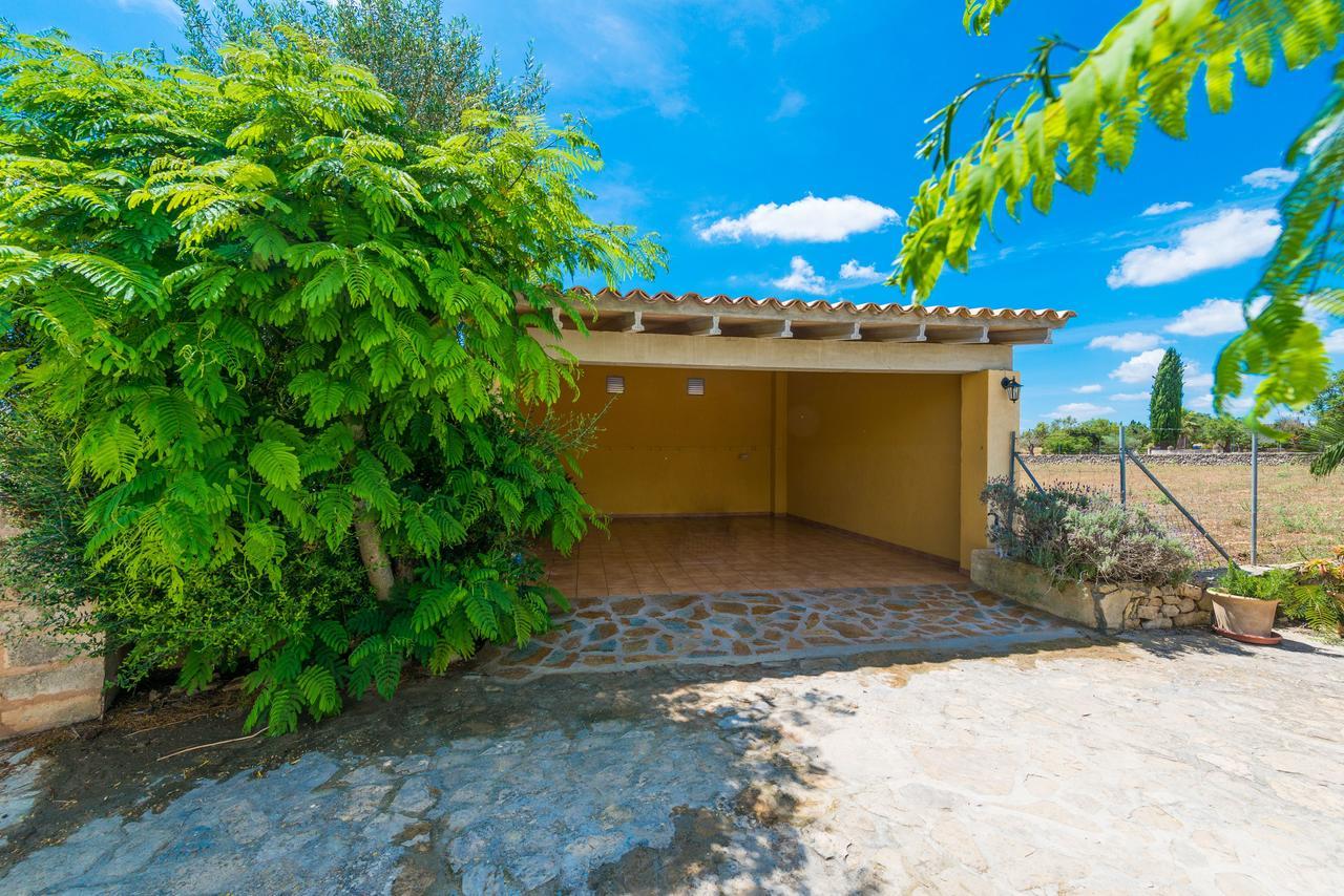 Liatris Villa María de la Salud