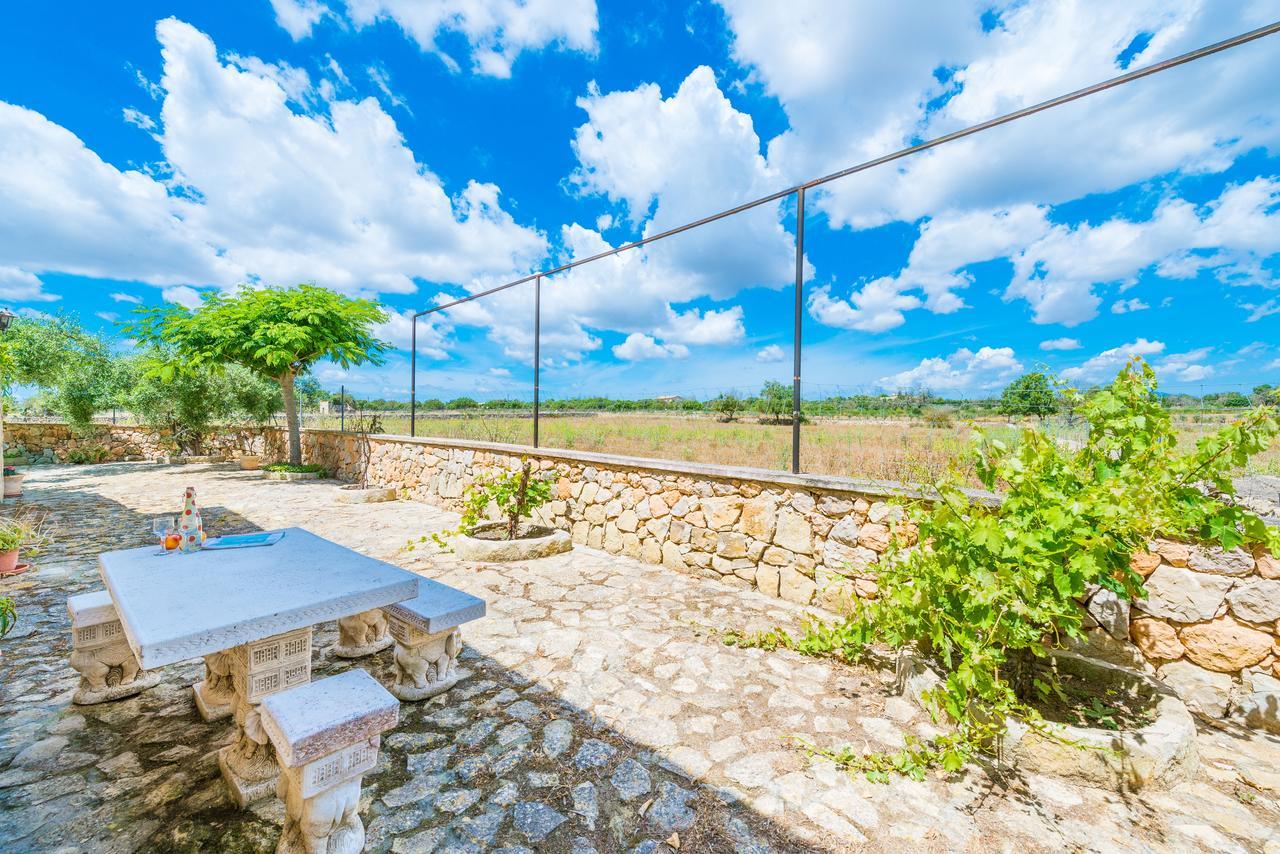 Liatris Villa María de la Salud
