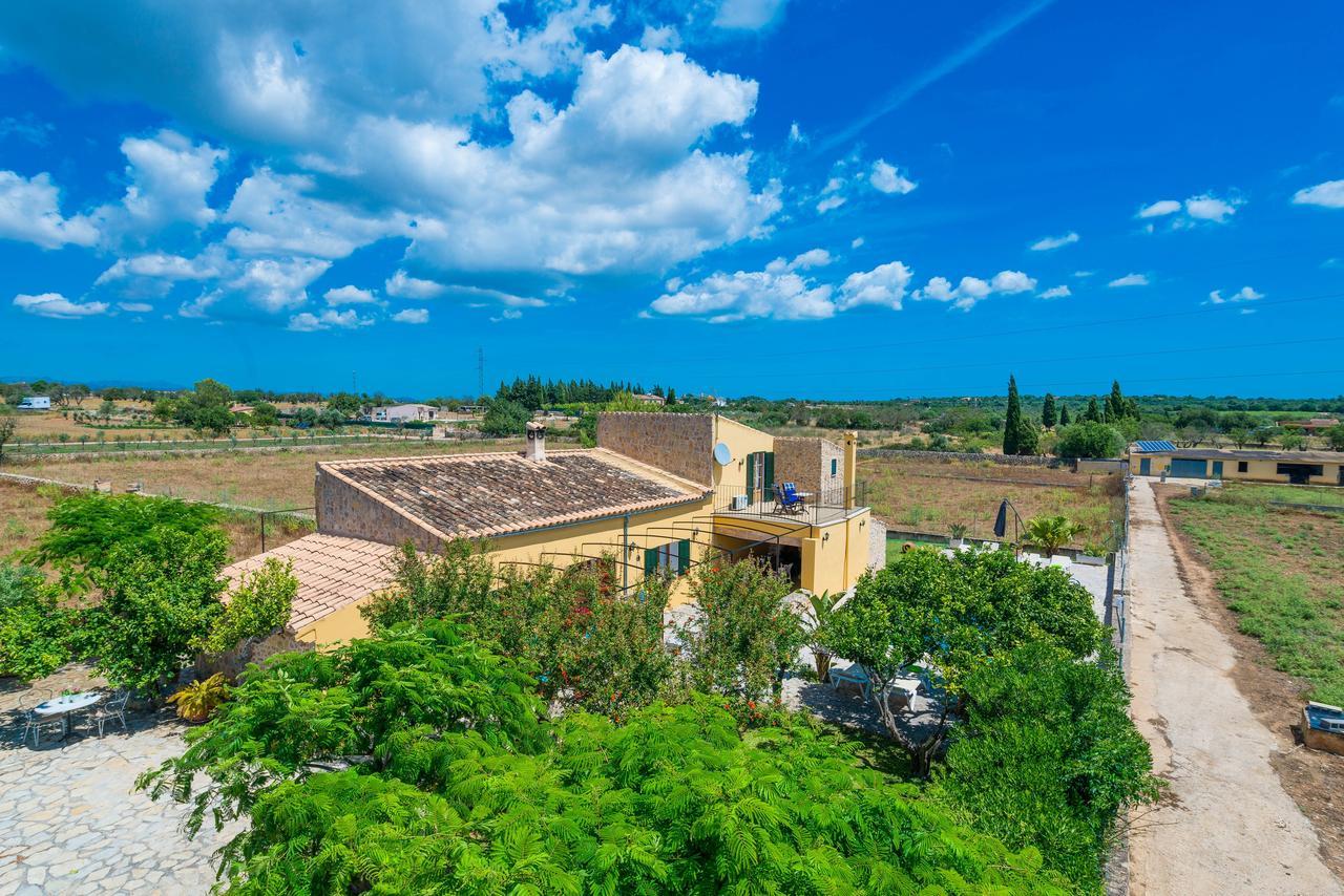 Liatris Villa María de la Salud
