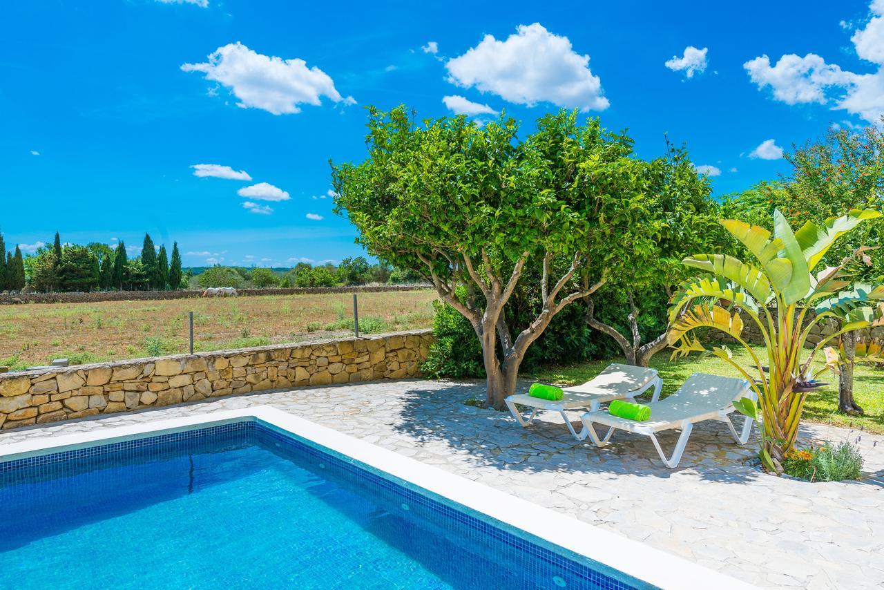 Liatris Villa *