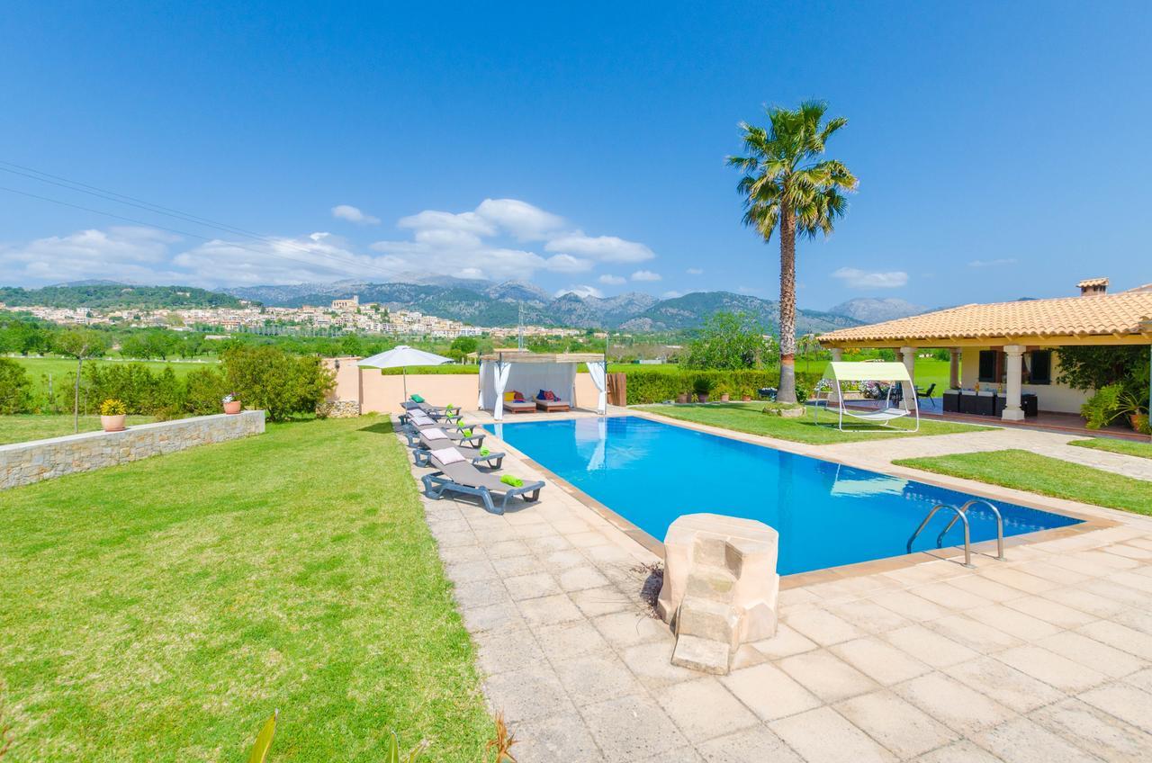 Vista * Selva (Mallorca)