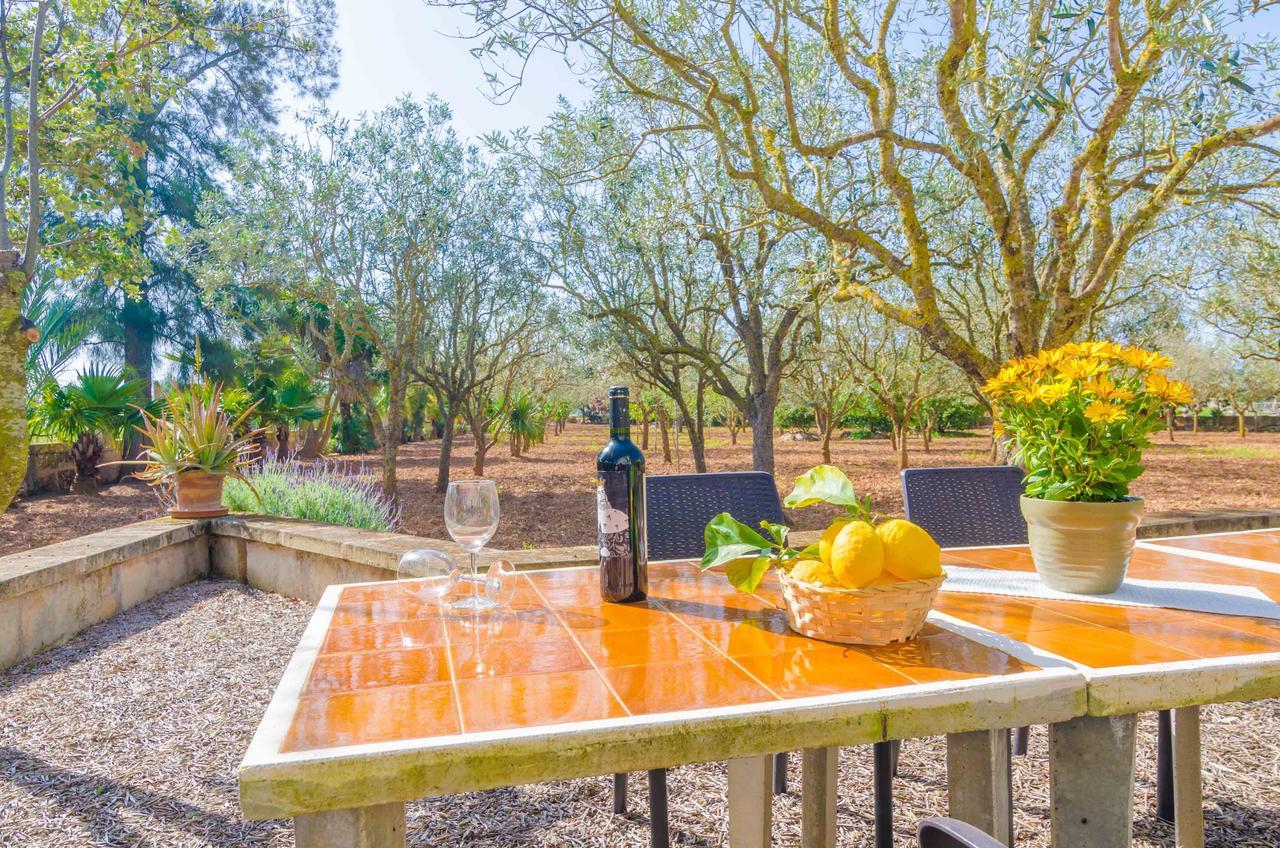 Estelrich- Sant Blai * Campos (Mallorca)