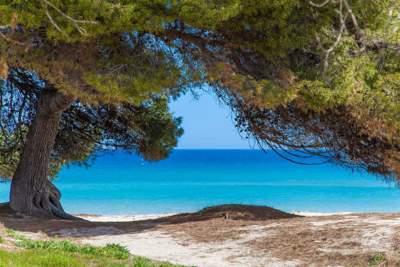 Villa Formentera 2 *