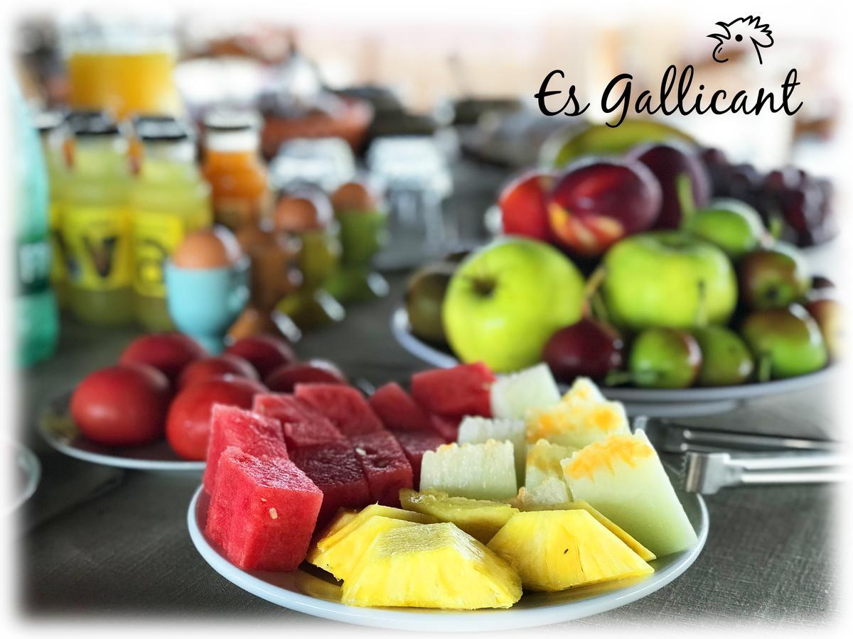 Agroturismo Es Gallicant Campos (Mallorca)