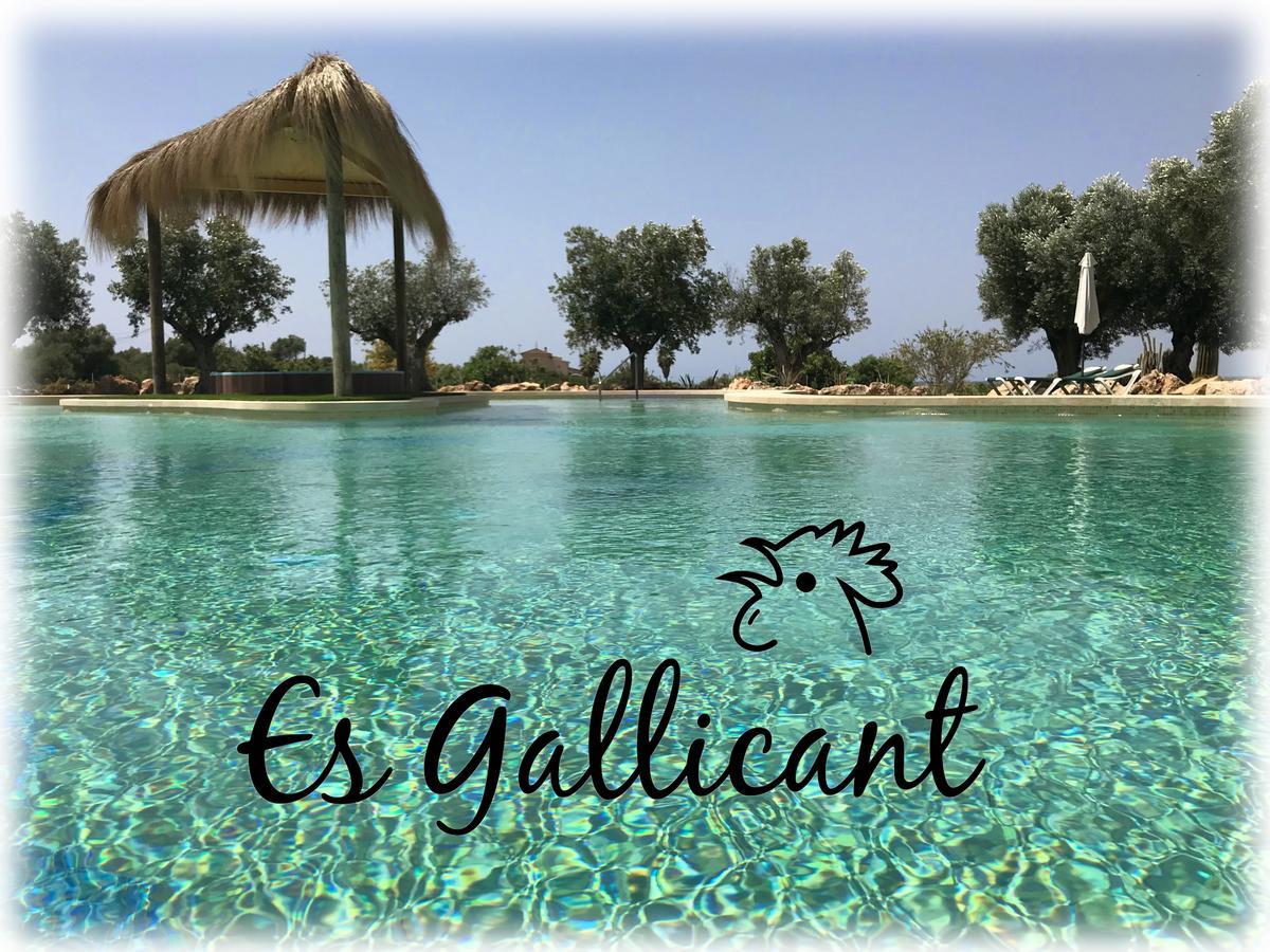 Agroturismo Es Gallicant *