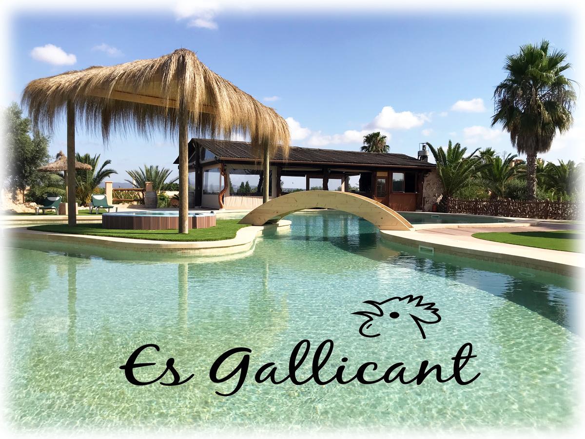 Agroturismo Es Gallicant