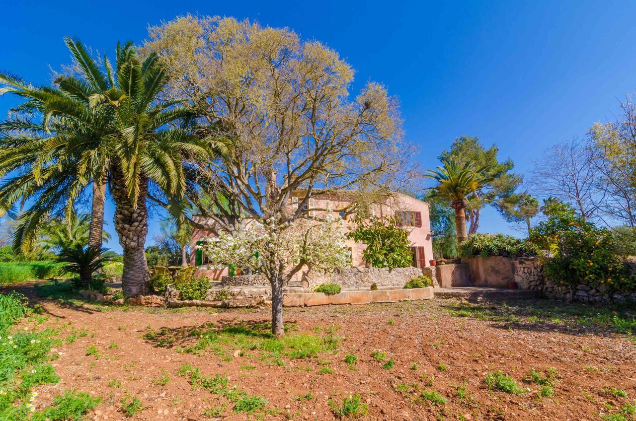 Rito Villa *
