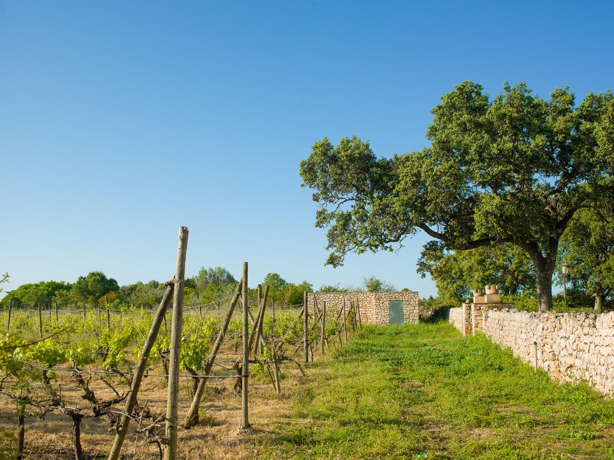 Sa Bassa Rotja Ecoturisme Casa rural