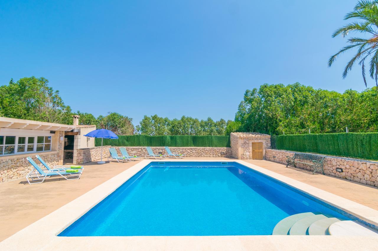Rosada Villa Alcúdia