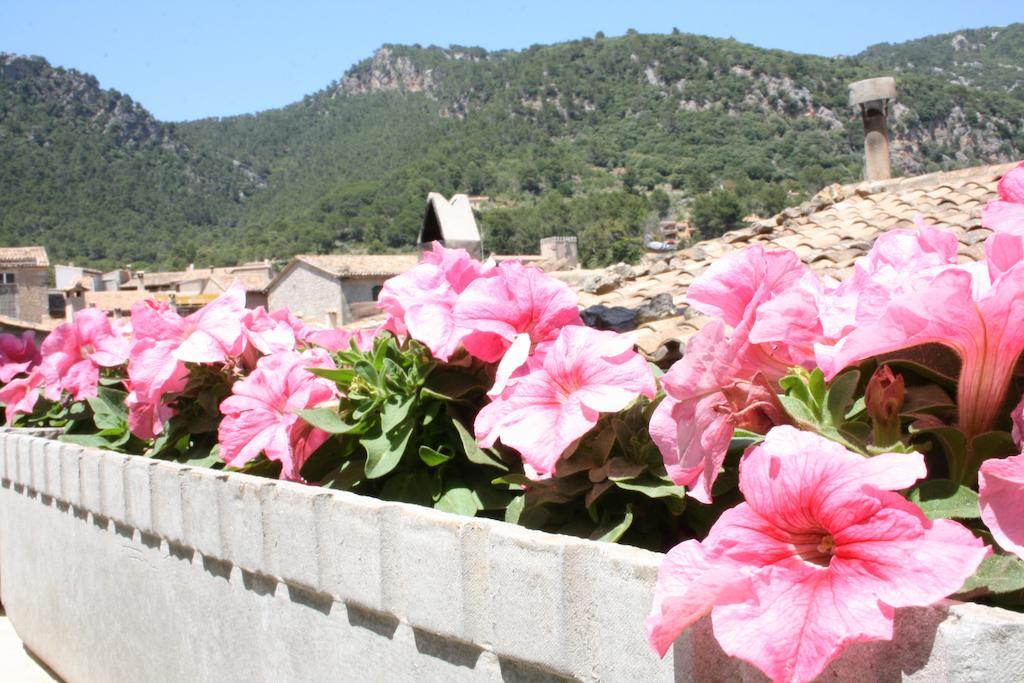 Ca's Papa Valldemossa (Mallorca)