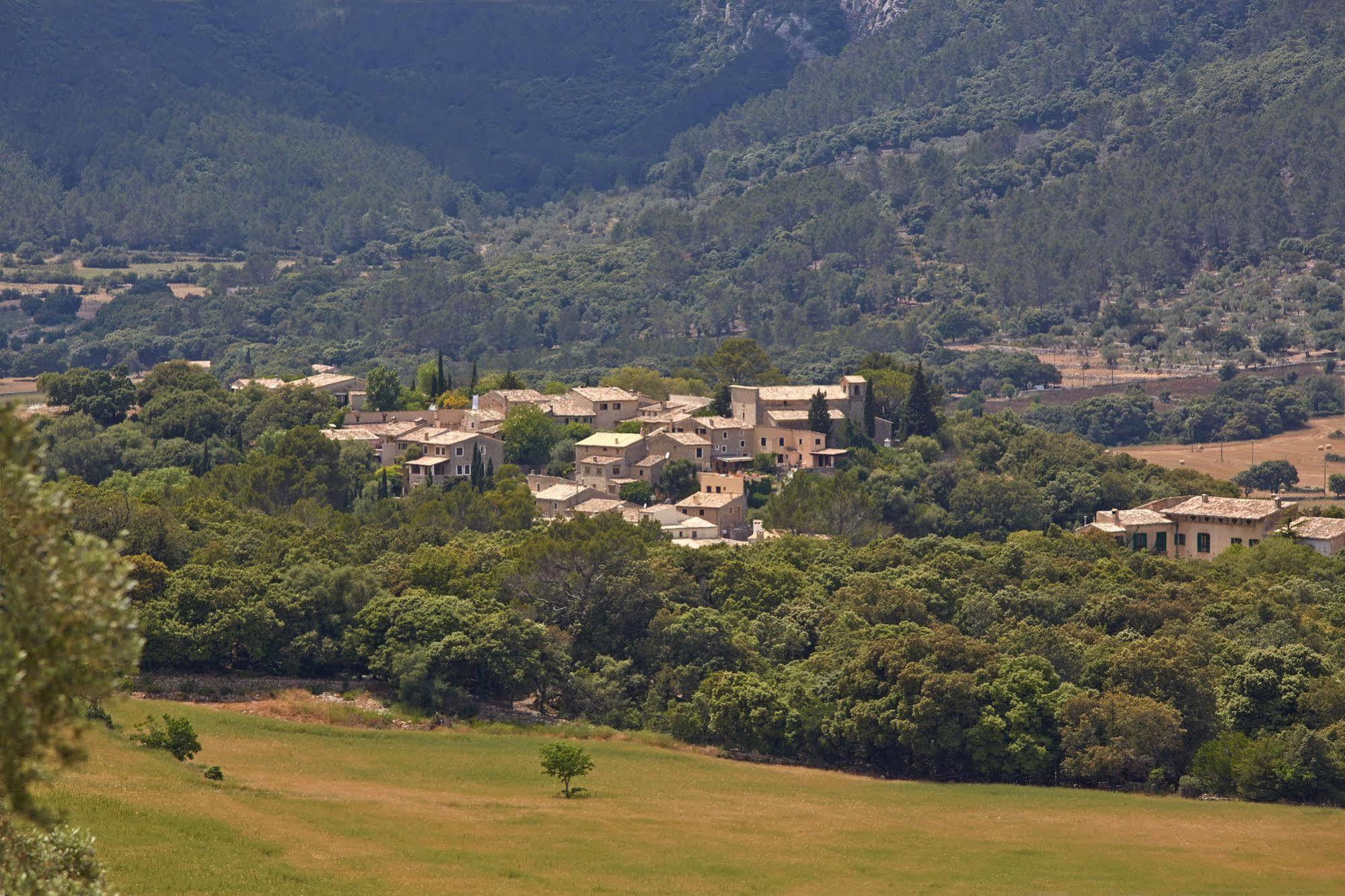 L'hermitage &