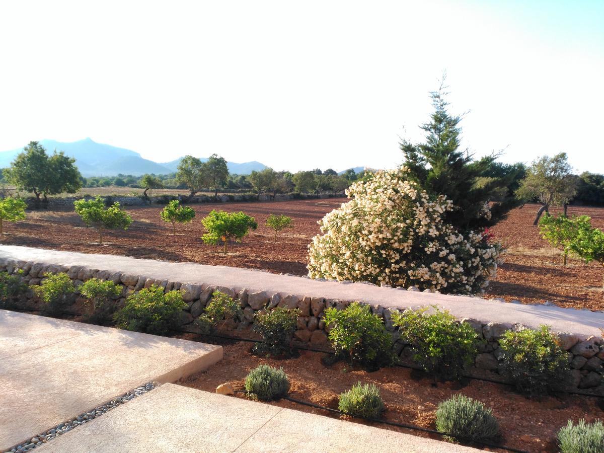 Farm stay Son Capellot