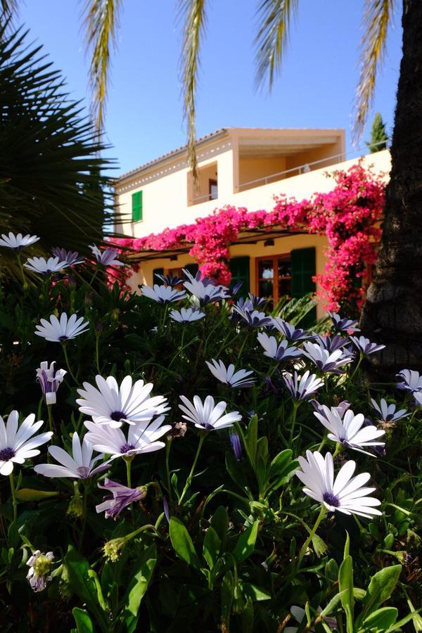 Farm stay Son Capellot