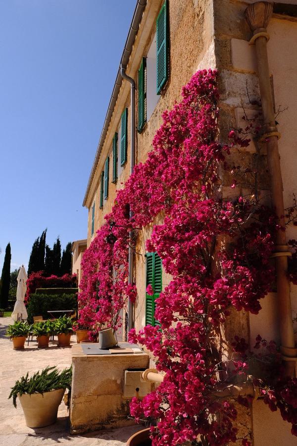 Farm stay Son Capellot Felanitx