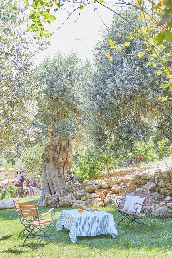 Rural S'olivaret & 4* Alaro