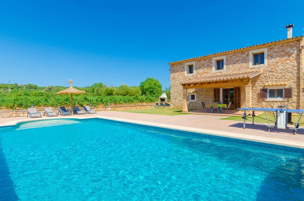 Palleta Villa