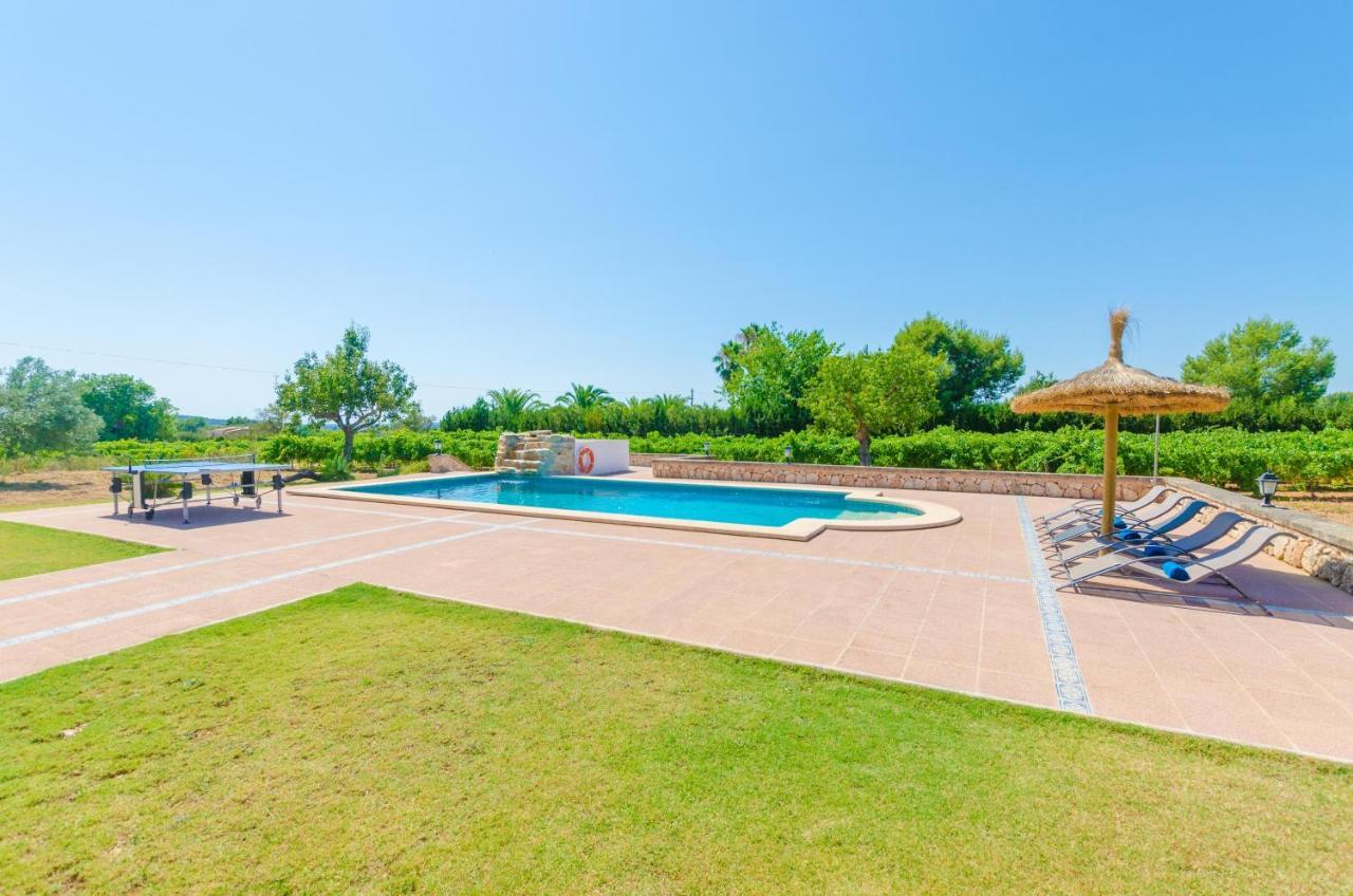 Villa Palleta *