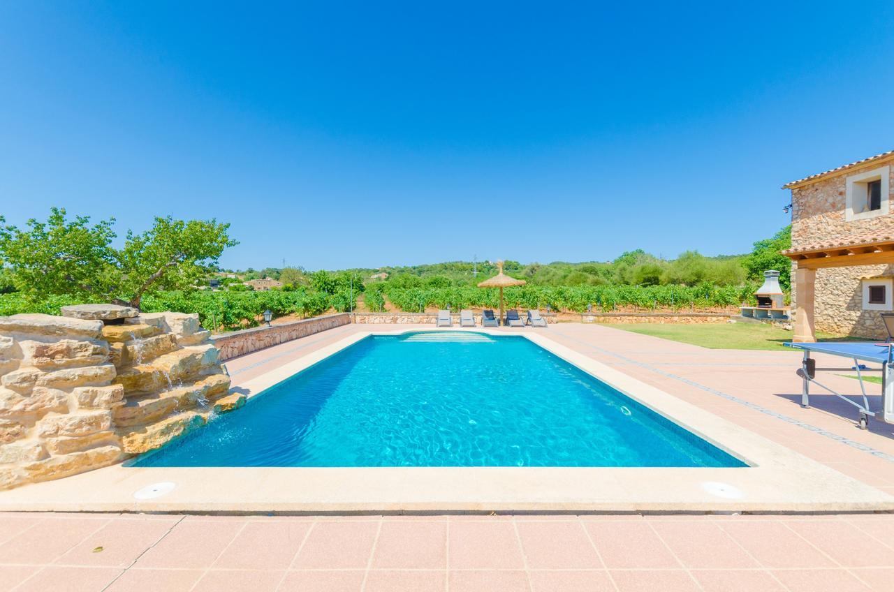 Palleta Villa *