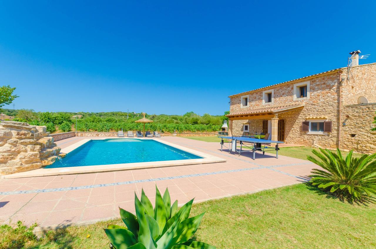 Villa Palleta *