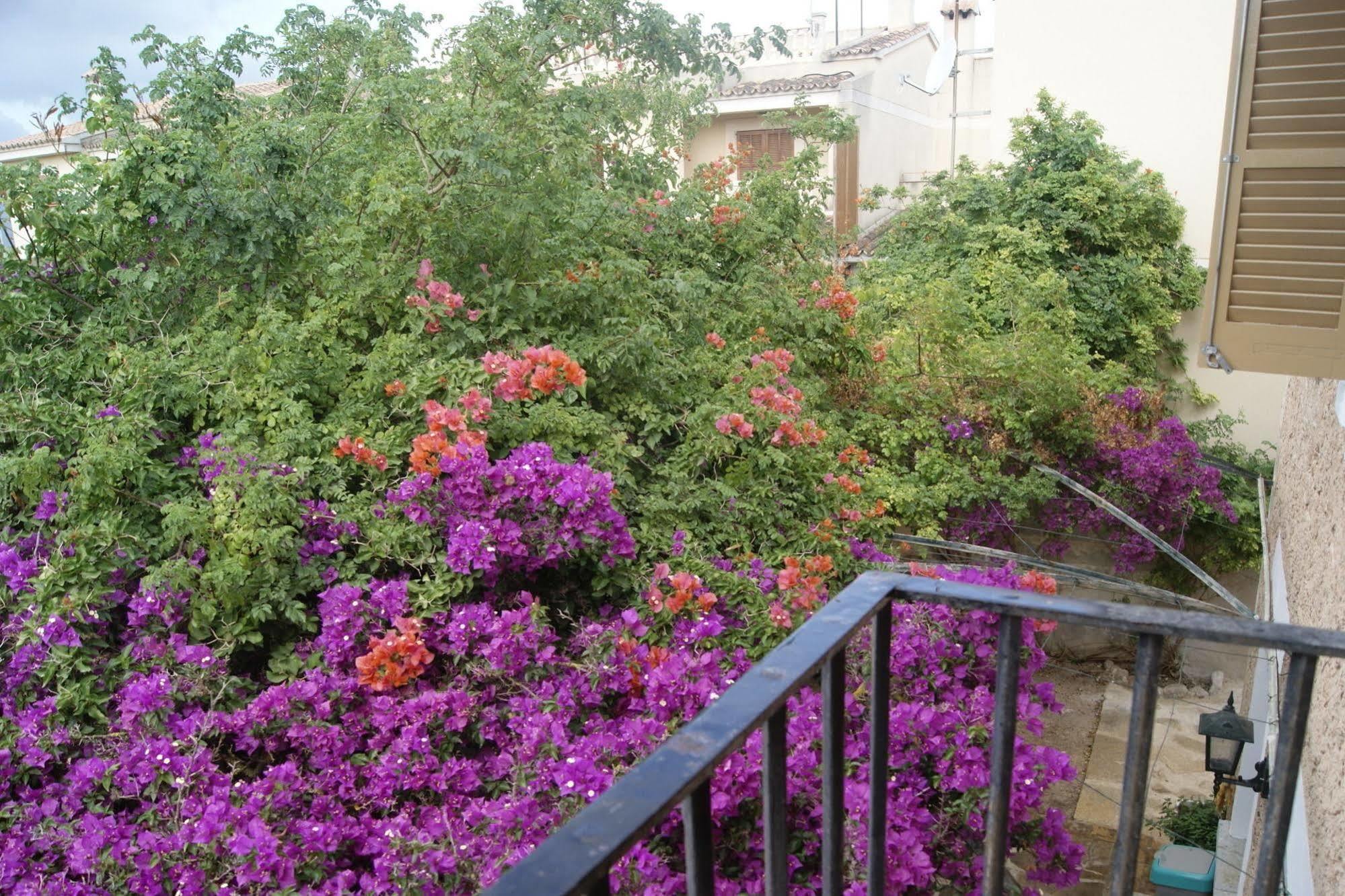 Residencial Rustic Lau *