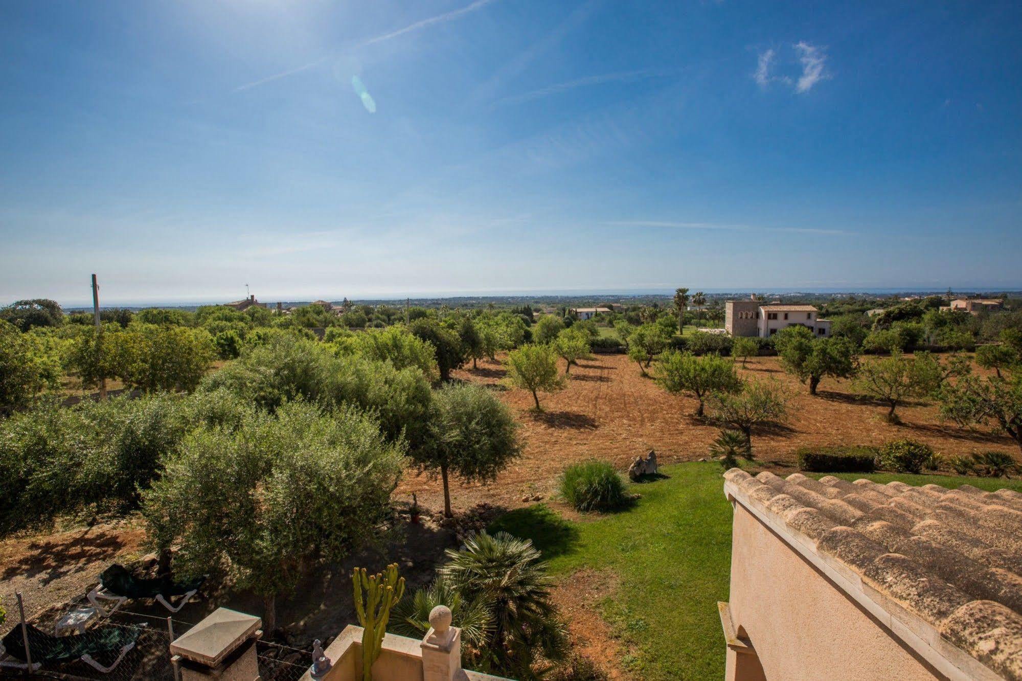 Marines Villa S'Horta