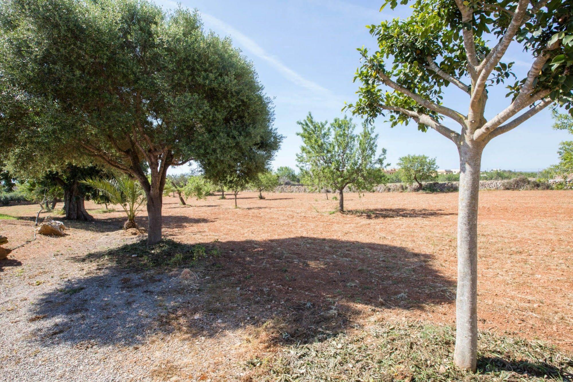 Marines Villa S'Horta