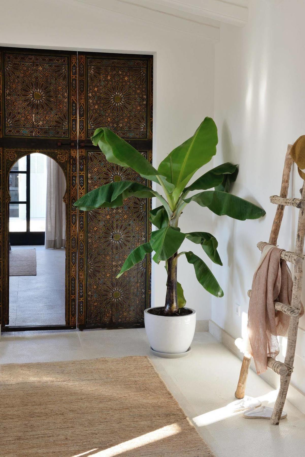Hotel Cal Reiet Holistic Retreat 4*