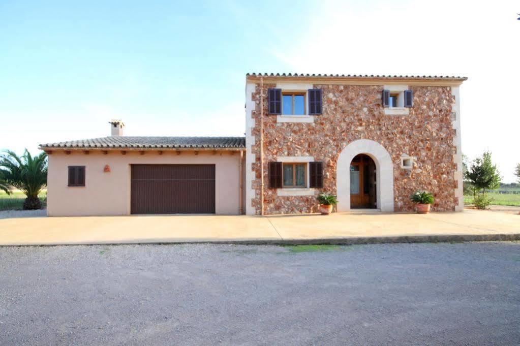 Cotoneta Villa Campos (Mallorca)
