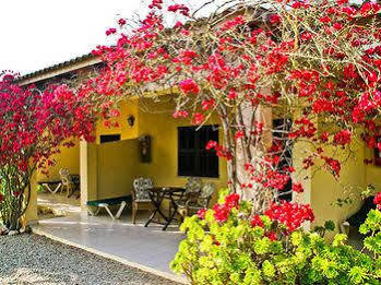 Predio Son Serra Can Picafort (Mallorca)
