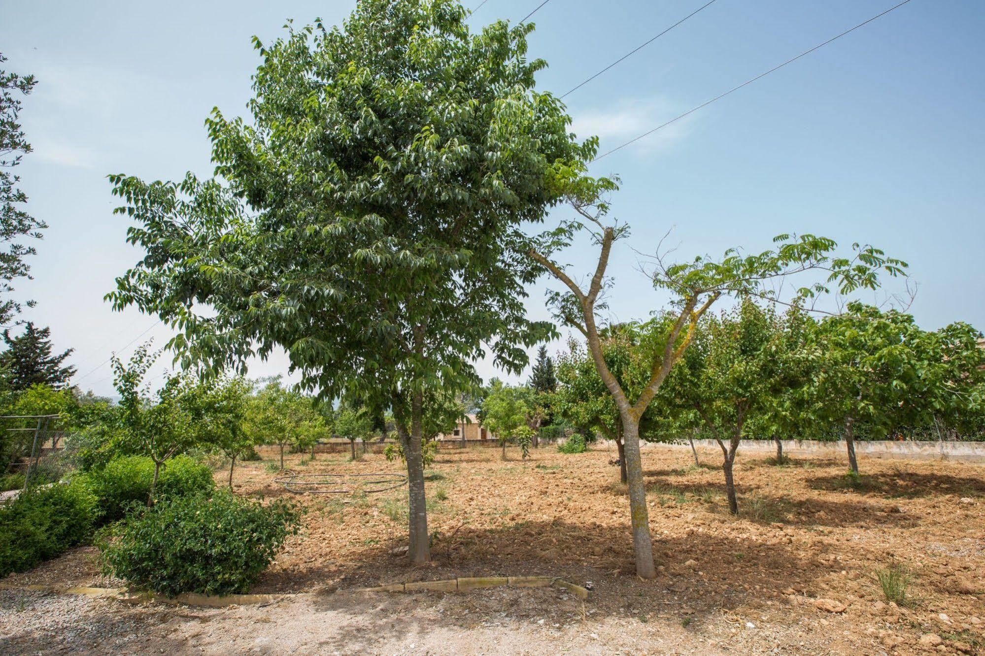 Holiday home Es Pascolet