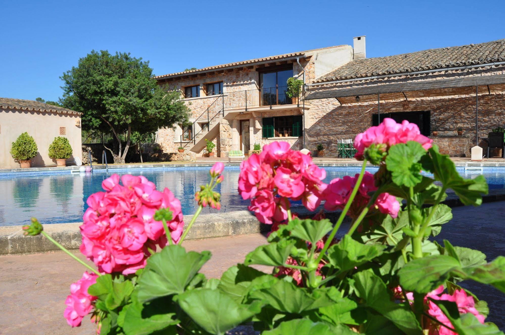 Vacacional En Mallorca Cas Contador Algaida (Mallorca)