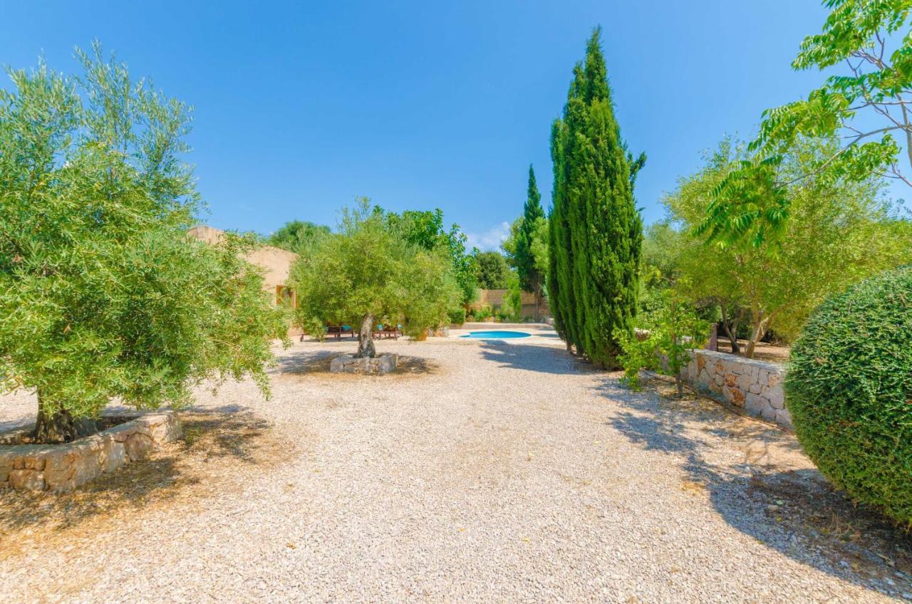 Sa Plana Son Servera (Mallorca)