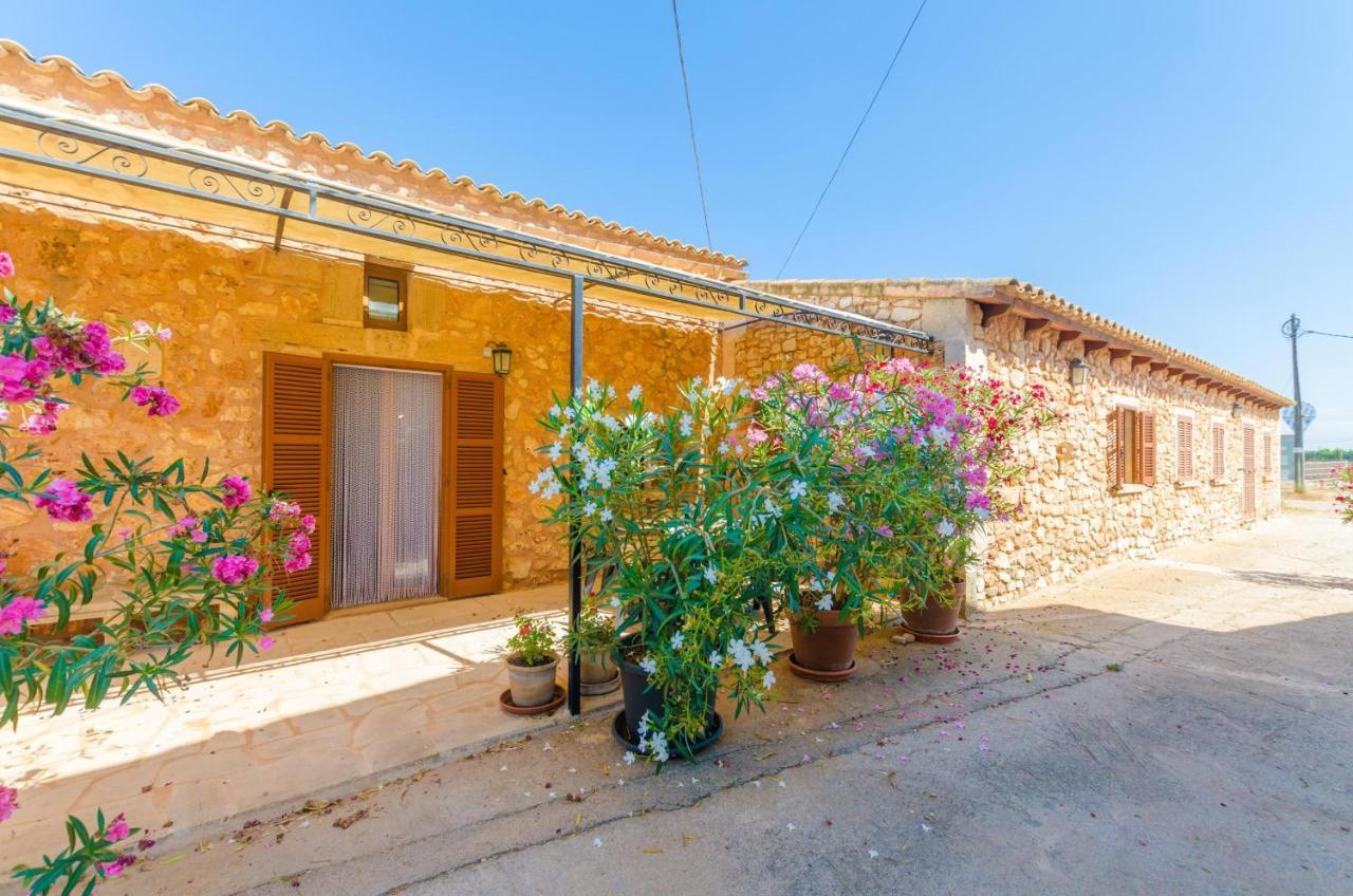 Sa Caseta De Ses Vaques.son Covas Villa *