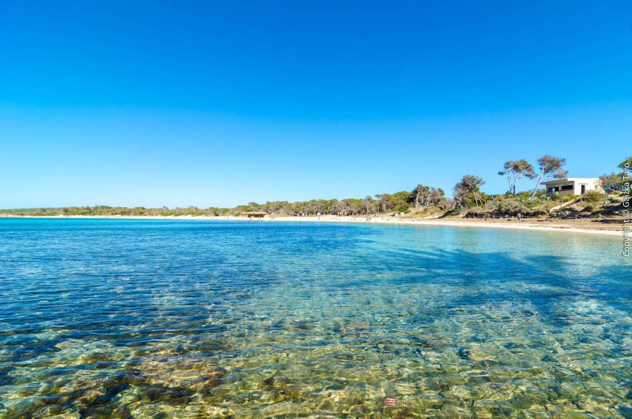 Villa Sa Caseta De Ses Vaques.son Covas Campos (Mallorca)