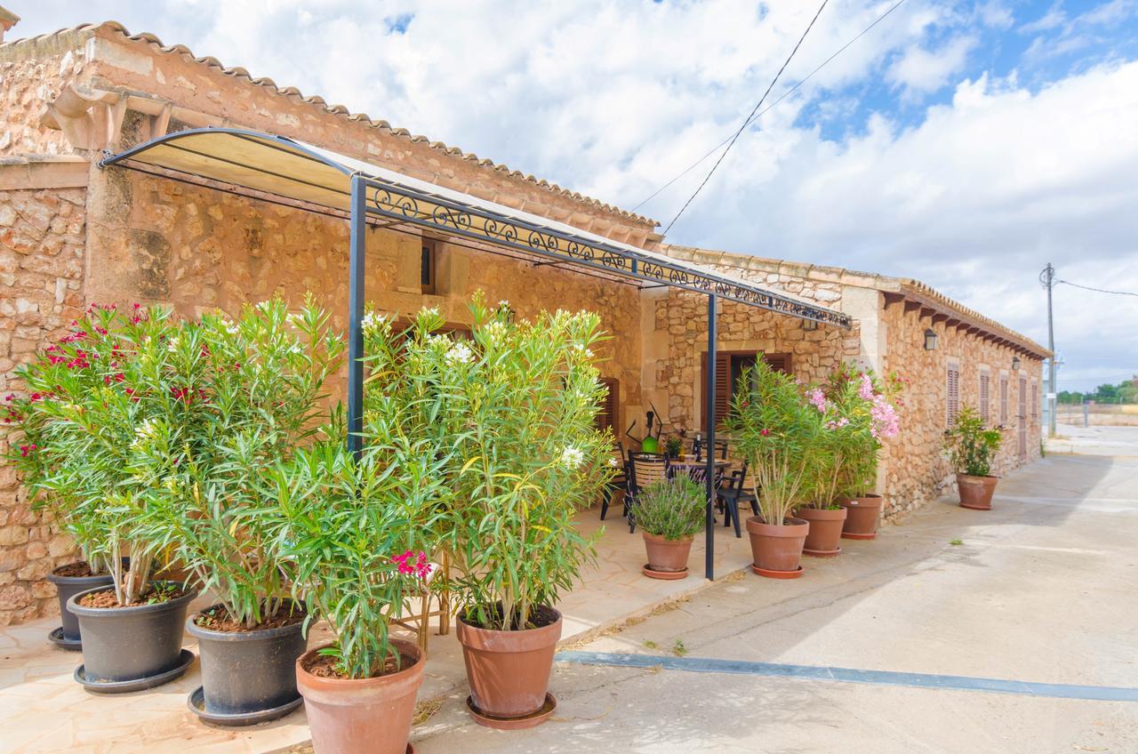 Sa Caseta De Ses Vaques.son Covas * Campos (Mallorca)