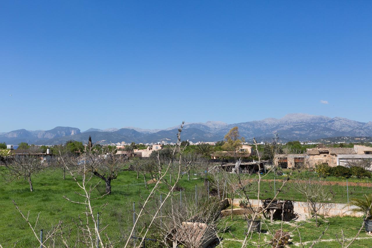 Diego * Inca (Mallorca)