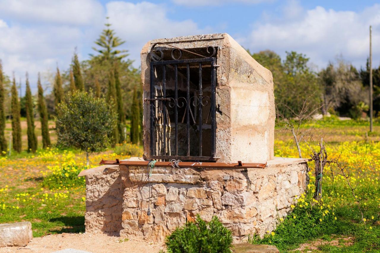 Villa Finca Son Prohens *