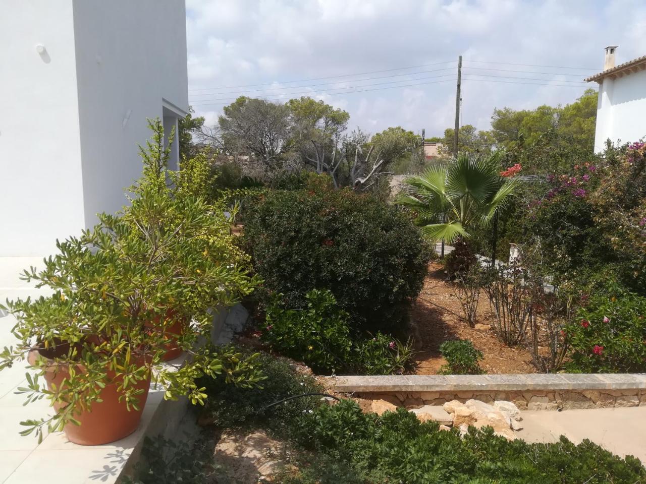 Apartahotel Primera Cala Figuera (Mallorca)