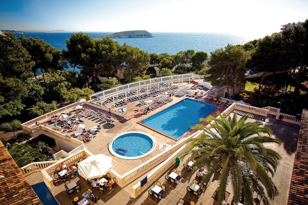 Fergus Pax- Adults Only 3*