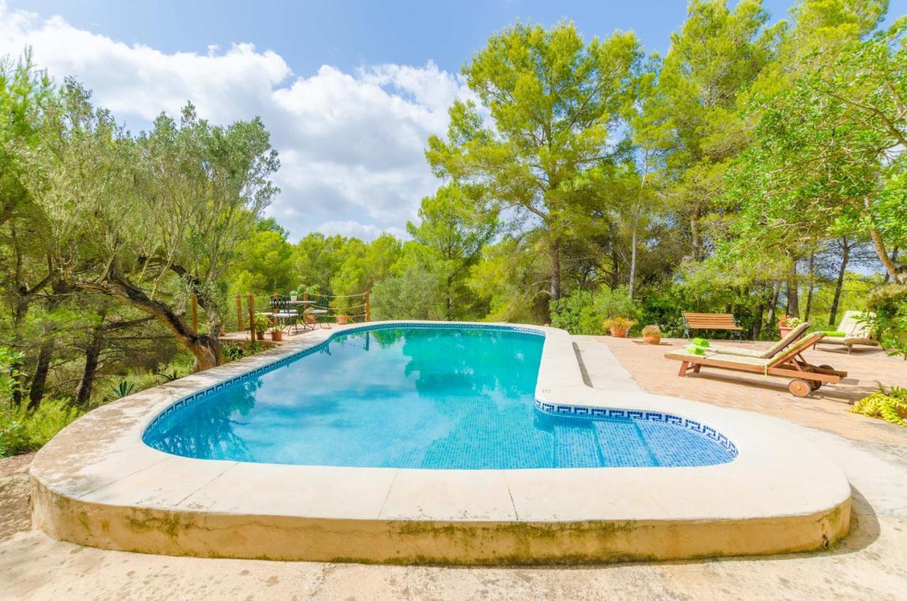 Casa Mas Villa *