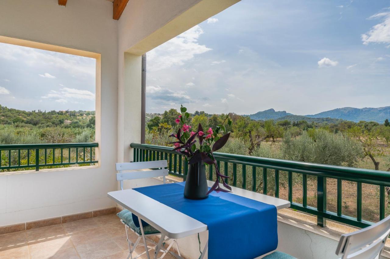 Finca La Vinya