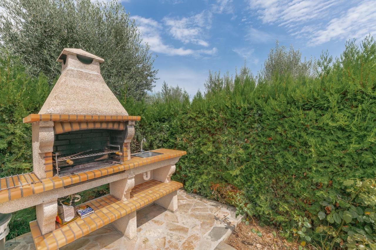 Finca La Vinya