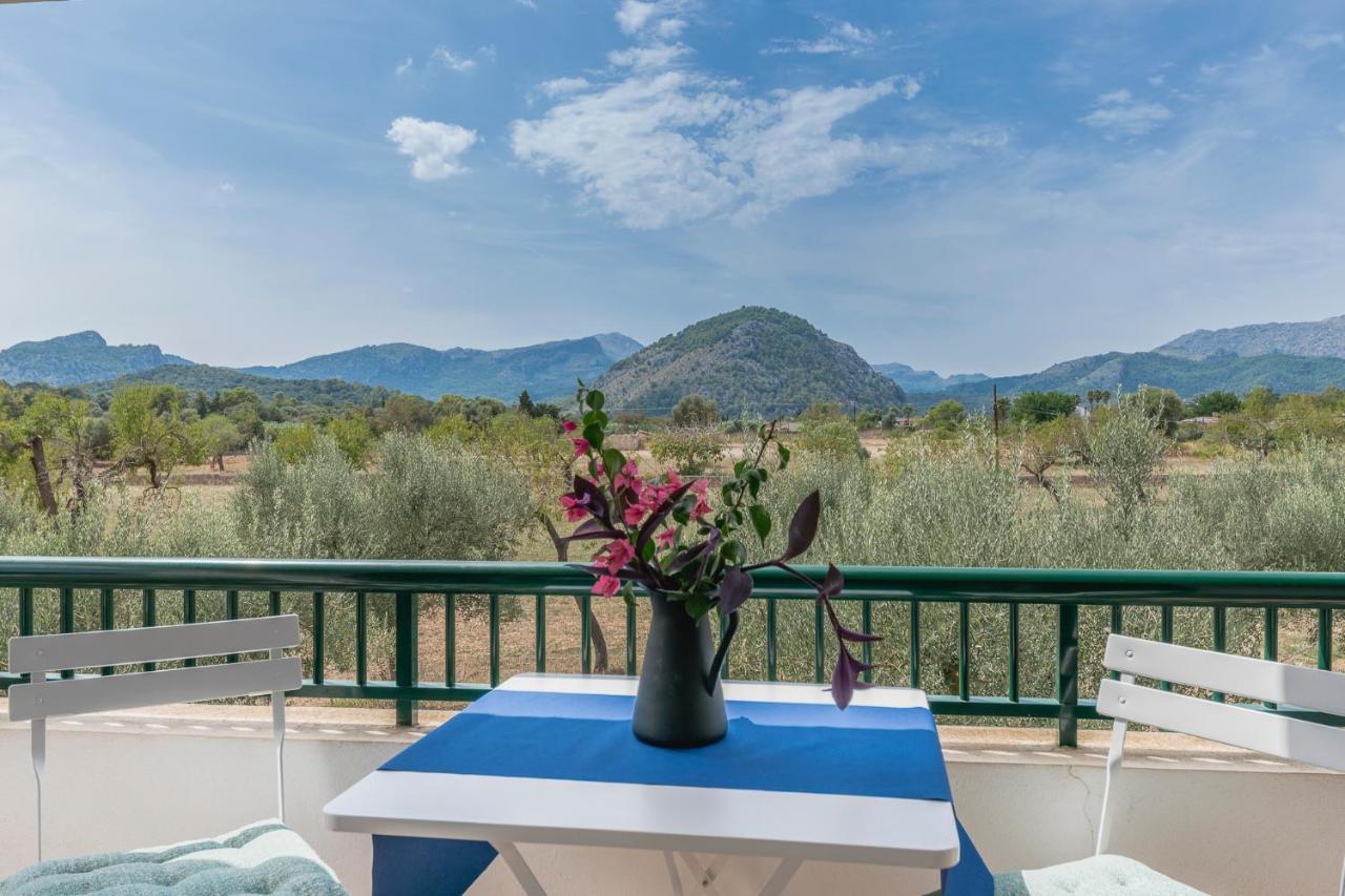 Finca La Vinya Villa Pollensa