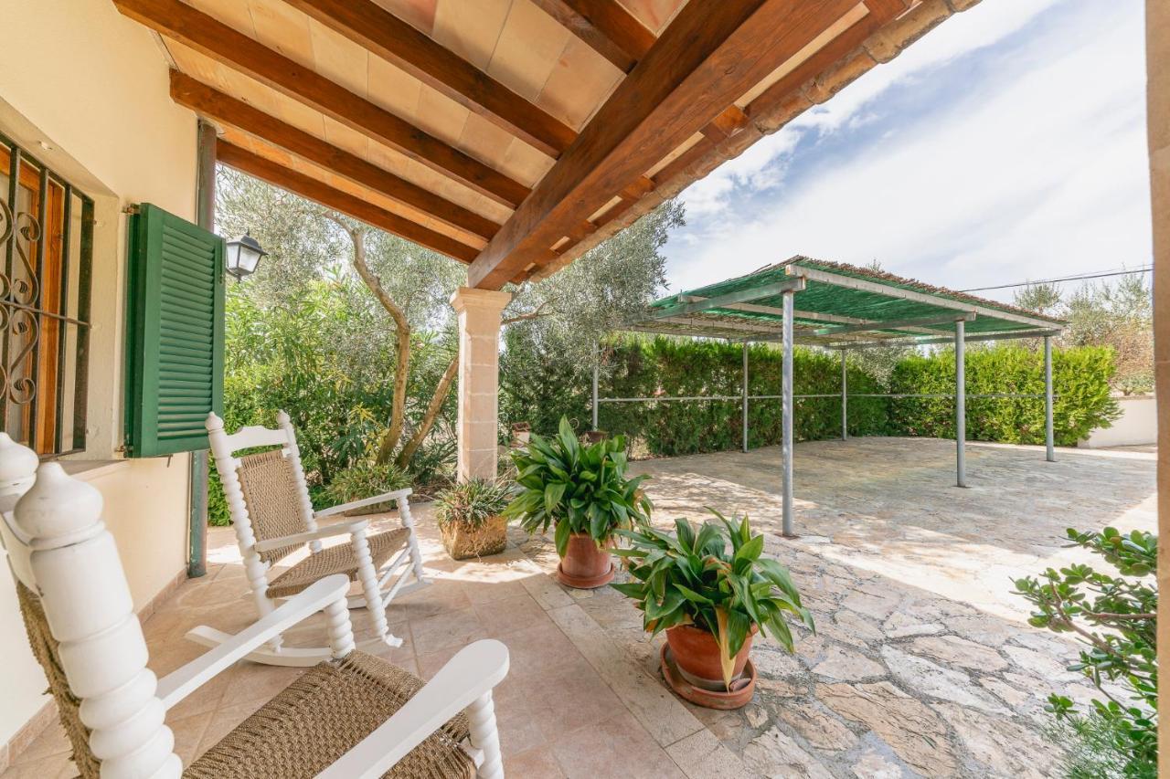 Finca La Vinya