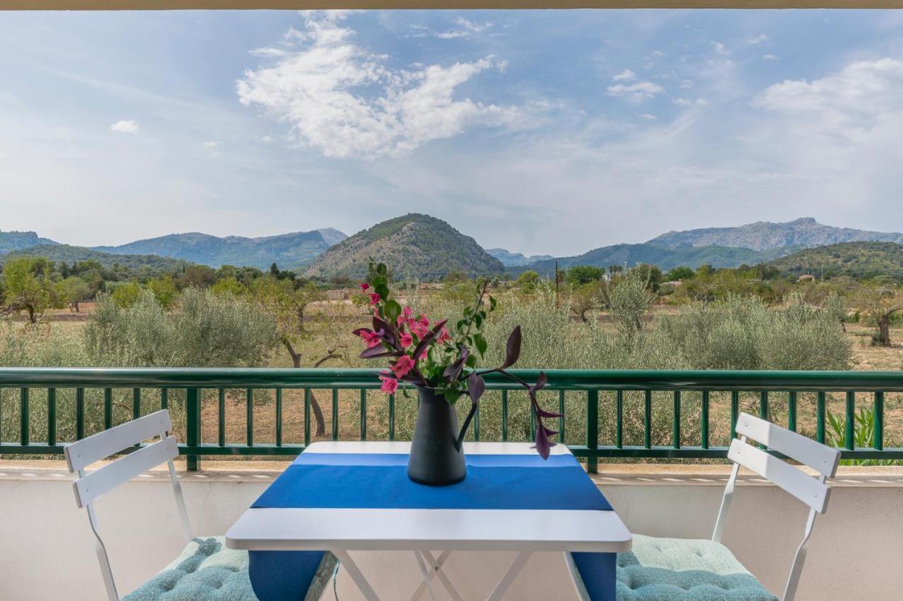Finca La Vinya Villa Pollensa