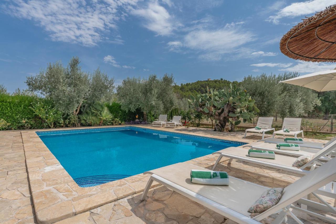 Finca La Vinya